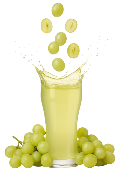 10.116 removebg preview