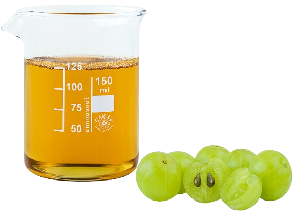 17 Producto removebg preview