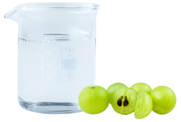 19 Producto removebg preview